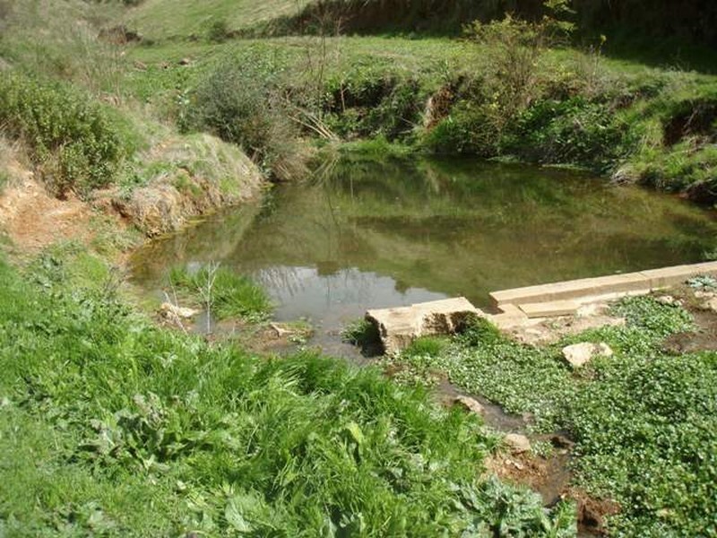 Lot 100 Gawler One Tree Hill Rd, Yattalunga SA 5114