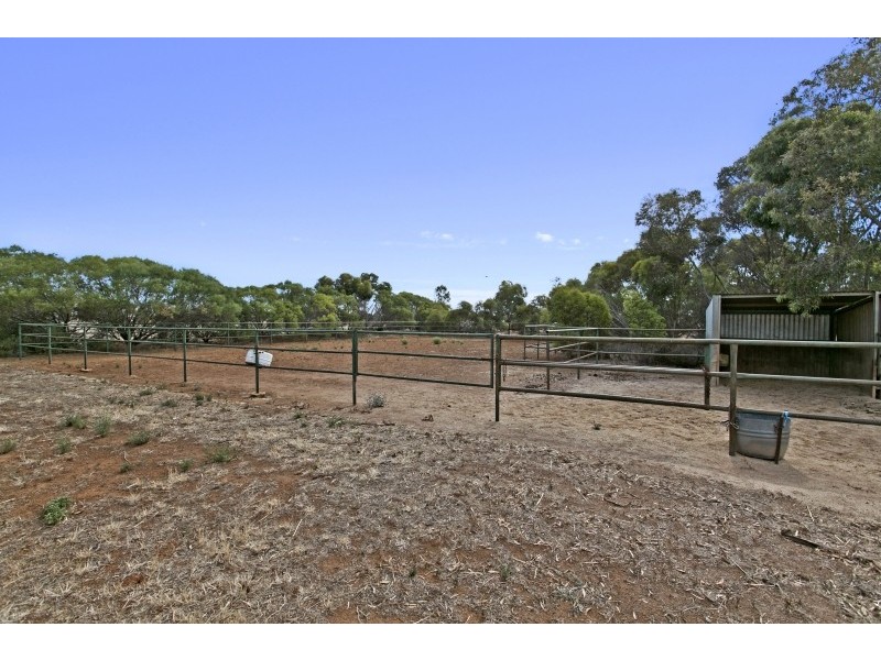 387 Collins Road, Mallala SA 5502