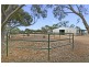 387 Collins Road, Mallala SA 5502