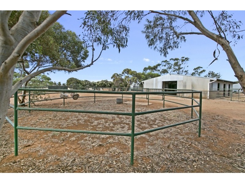 387 Collins Road, Mallala SA 5502