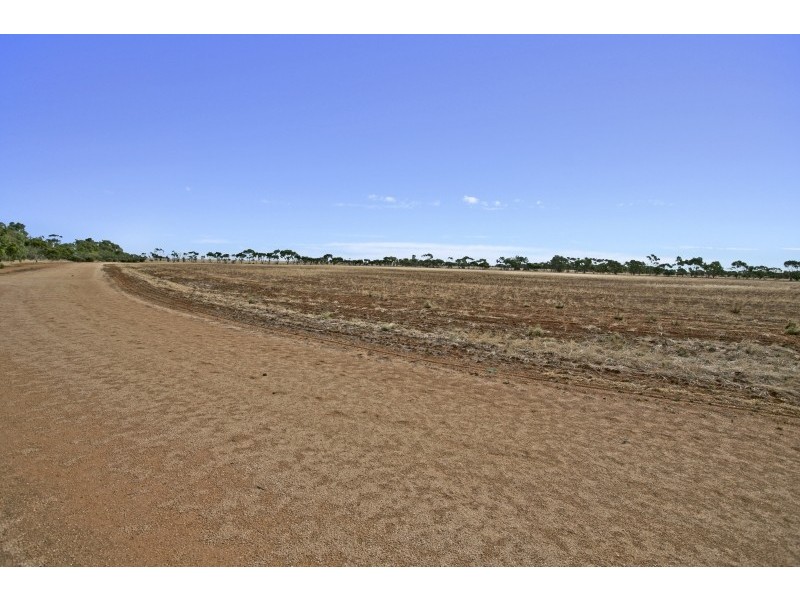 387 Collins Road, Mallala SA 5502