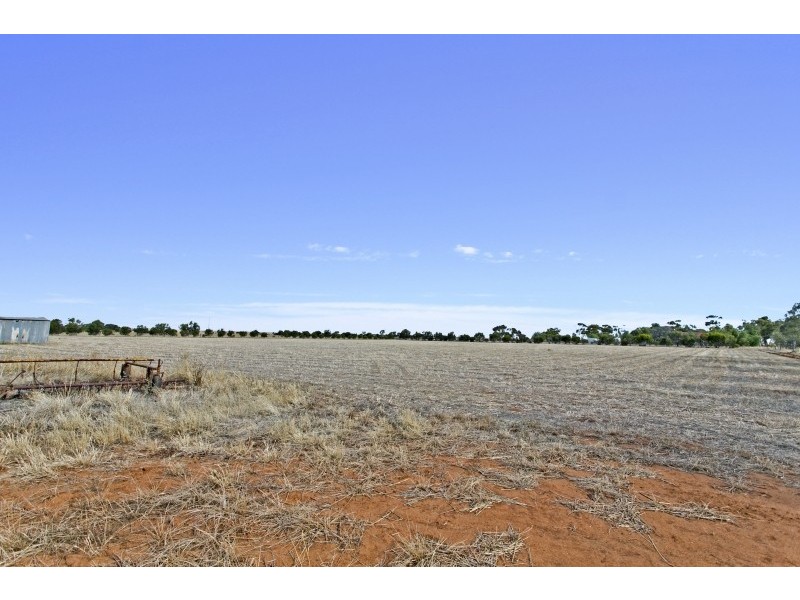 387 Collins Road, Mallala SA 5502