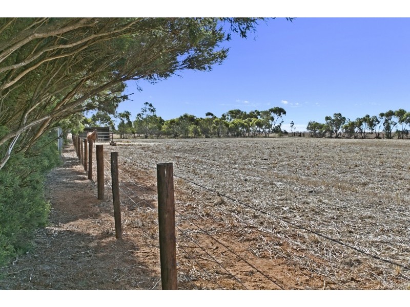 387 Collins Road, Mallala SA 5502