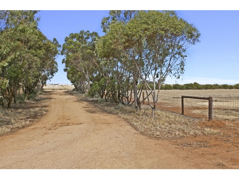 387 Collins Road, Mallala SA 5502