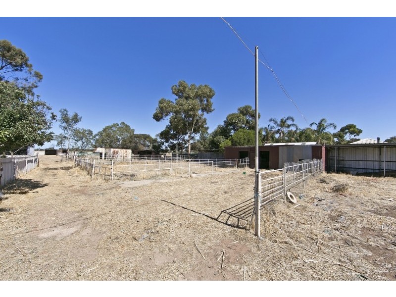 7 Aunger Road, Lewiston SA 5501