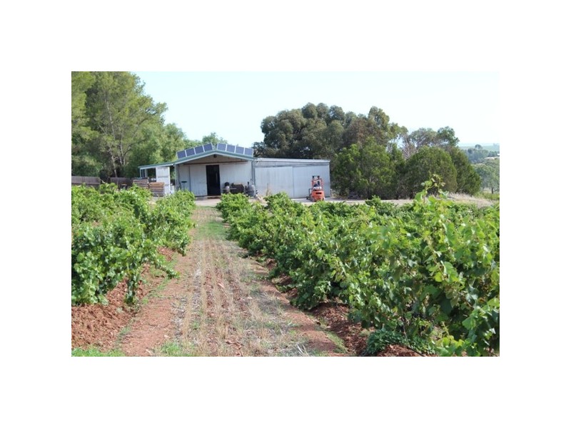 121A Radford Road, Seppeltsfield SA 5355
