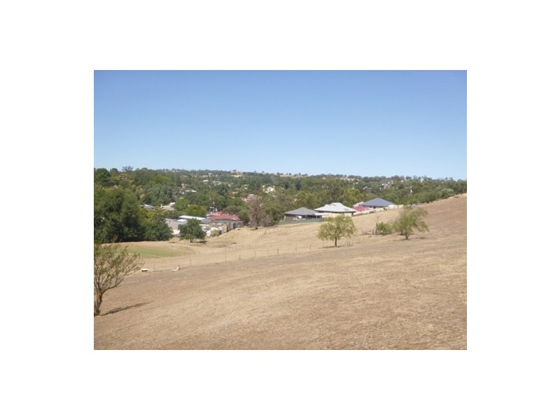 13 Moculta Road, Angaston SA 5353