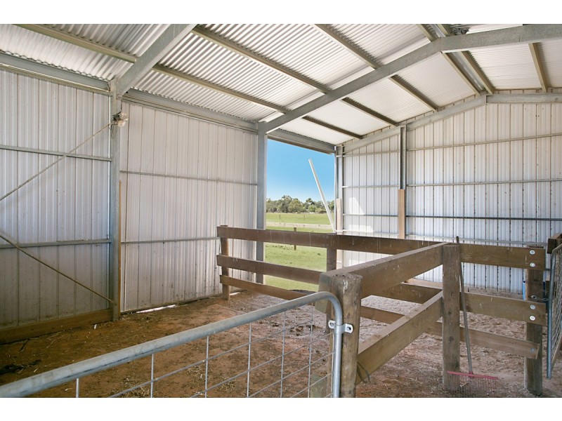 7 Karapas Court, Lewiston SA 5501