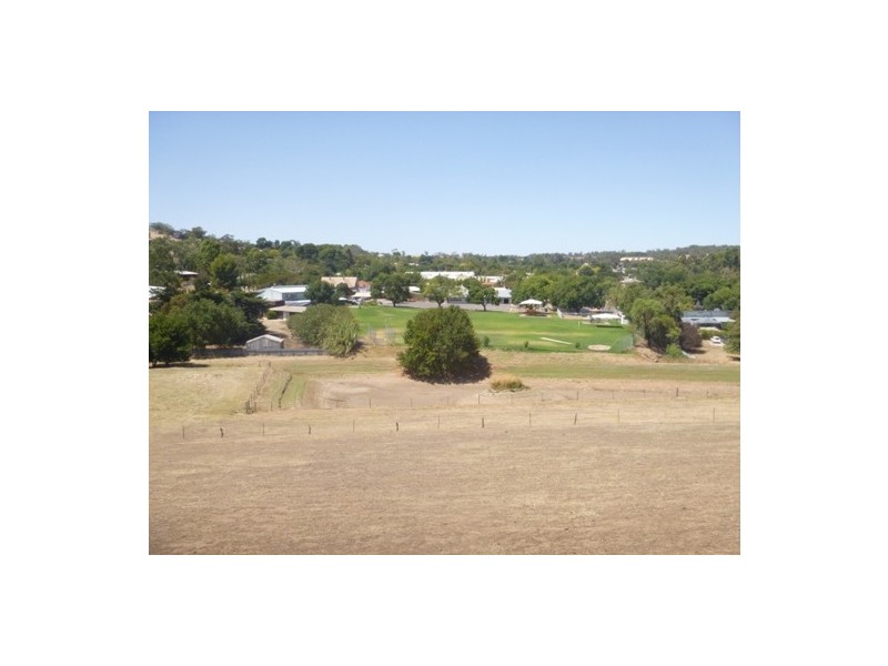 13 Moculta Road, Angaston SA 5353