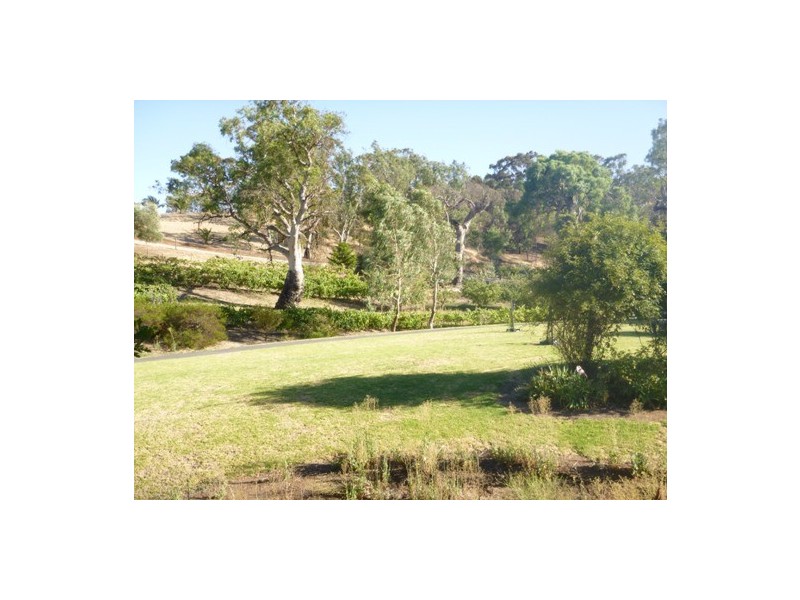 13 Moculta Road, Angaston SA 5353