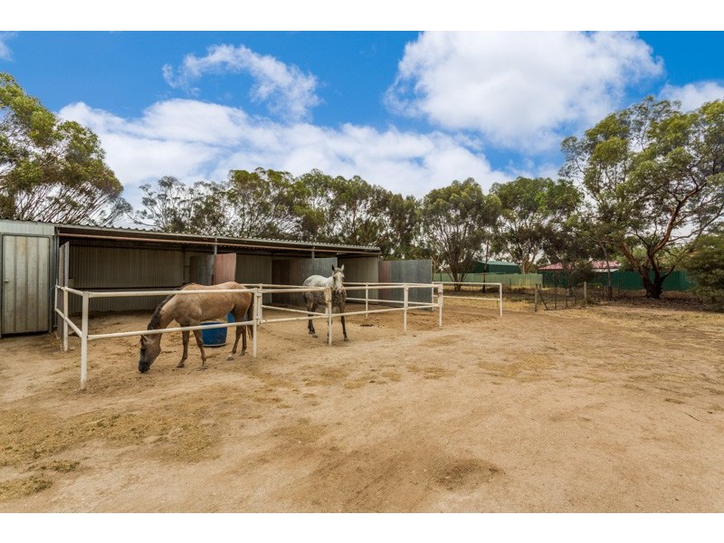 3 Lawrie Road, Lewiston SA 5501