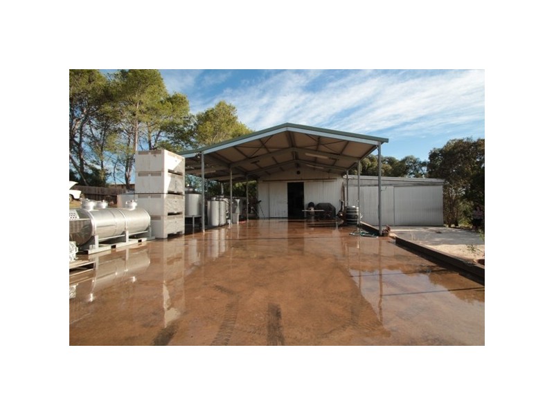 121A Radford Road, Seppeltsfield SA 5355