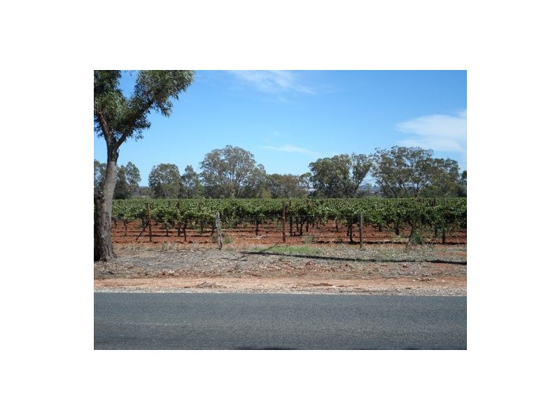 Lot 21 Stockwell Road, Stockwell SA 5355