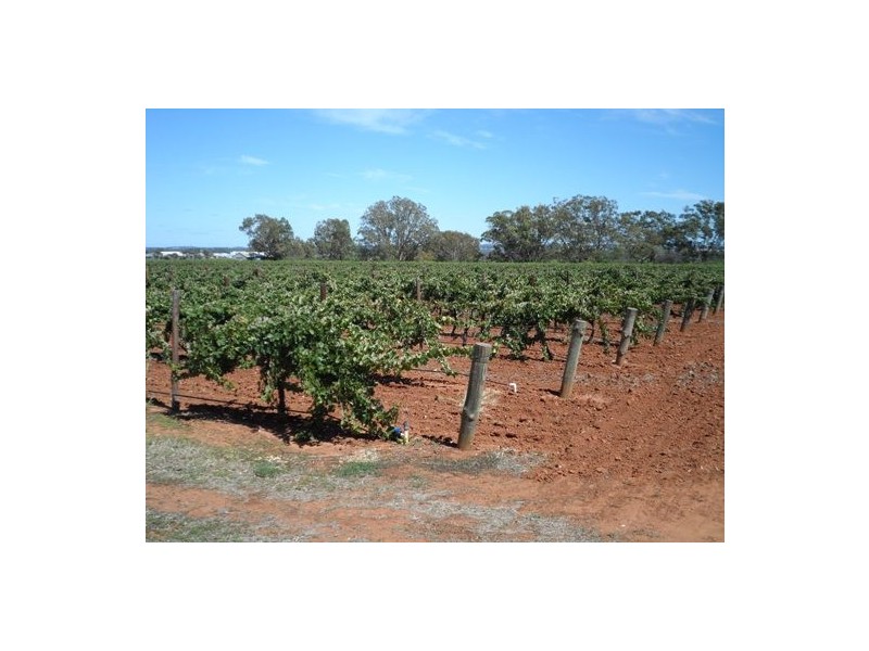 Lot 21 Stockwell Road, Stockwell SA 5355