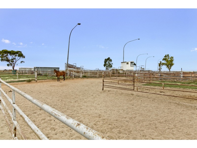 764 Horrocks Highway, Roseworthy SA 5371