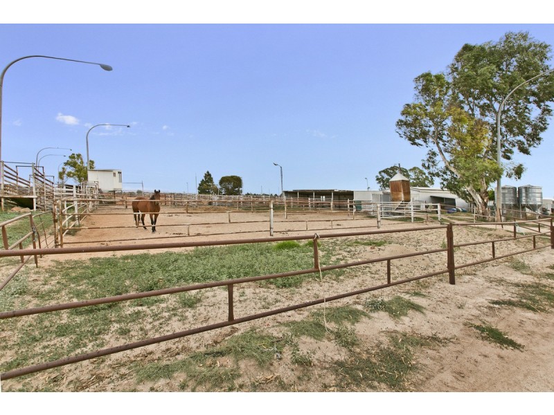 764 Horrocks Highway, Roseworthy SA 5371
