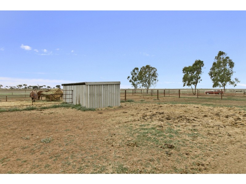 764 Horrocks Highway, Roseworthy SA 5371