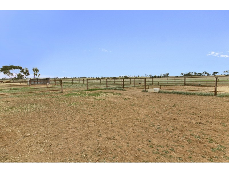 764 Horrocks Highway, Roseworthy SA 5371