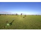 19B Schutt Road, Dublin SA 5501