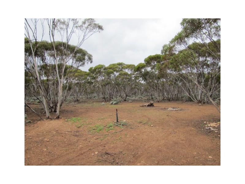 Lot 54 Bower Boundry Road, Bower SA 5374