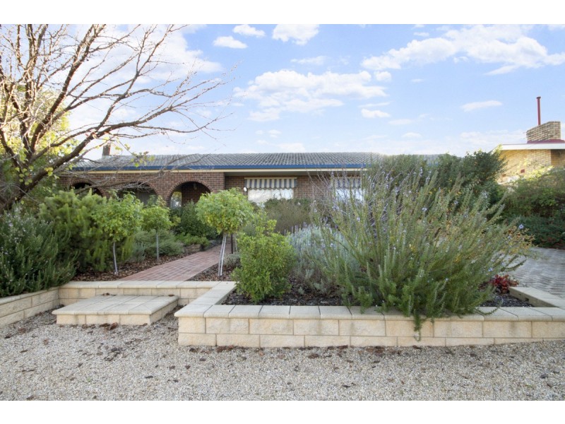 13 Elizabeth Ave, Nuriootpa SA 5355