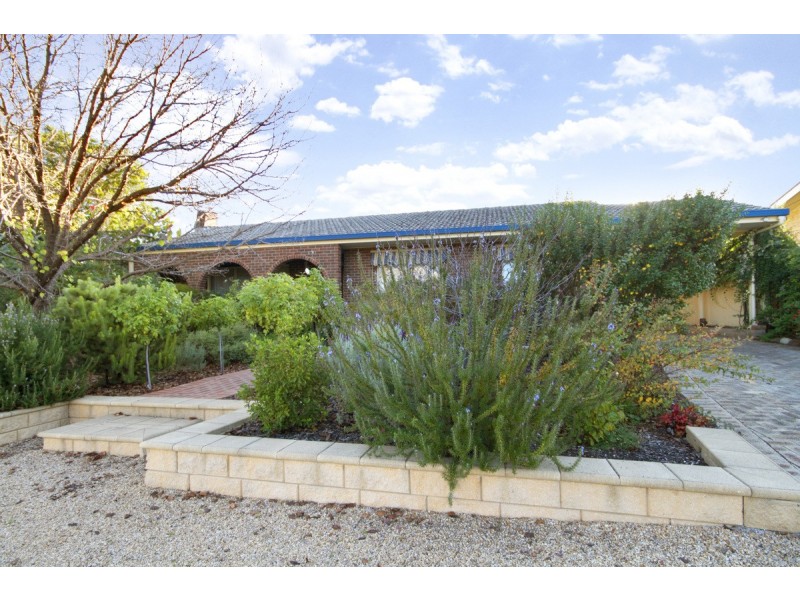13 Elizabeth Ave, Nuriootpa SA 5355