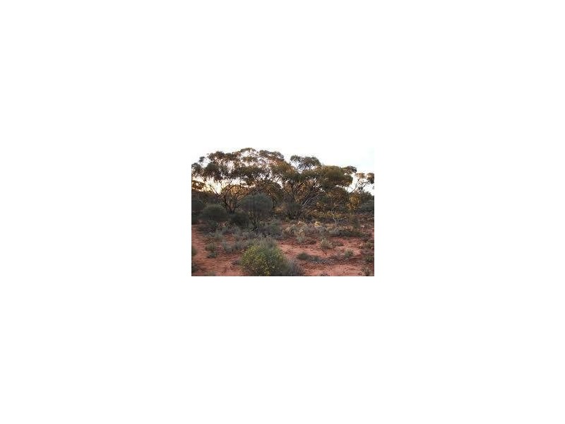 3 Old Railway Road, Steinfeld SA 5356