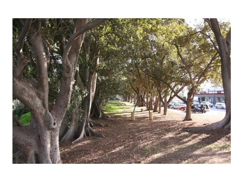 81 Main North Road, Willaston SA 5118