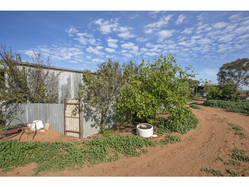 53 Port Wakefield Road, Dublin SA 5501