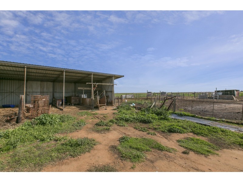 53 Port Wakefield Road, Dublin SA 5501