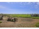 53 Port Wakefield Road, Dublin SA 5501