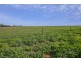 53 Port Wakefield Road, Dublin SA 5501