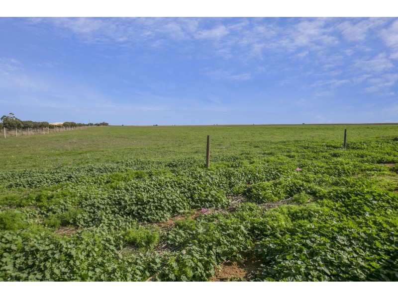 53 Port Wakefield Road, Dublin SA 5501