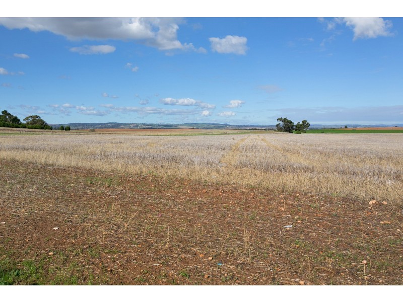 623 Parkers Road, Gawler Belt SA 5118