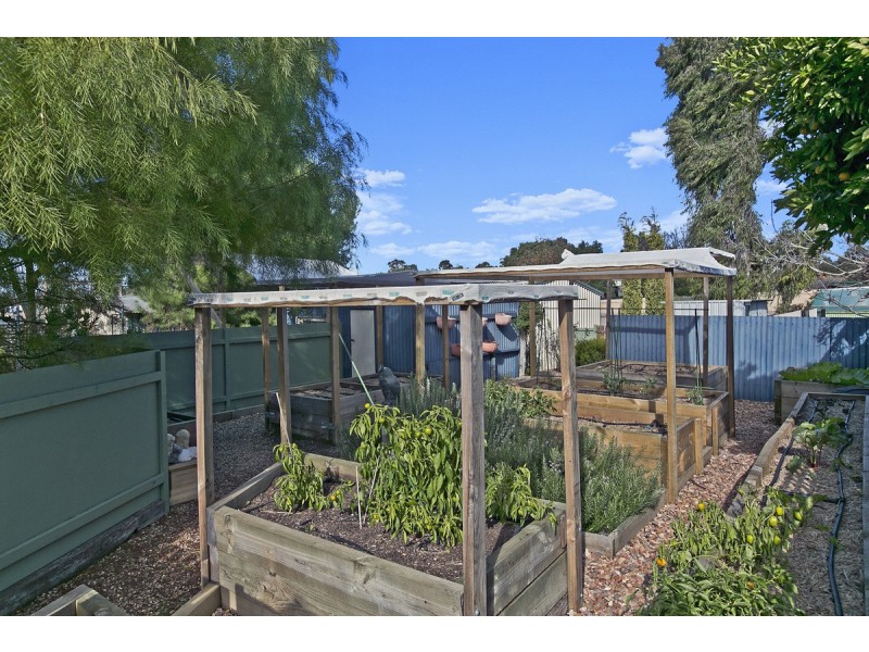 14 Neil Avenue, Nuriootpa SA 5355