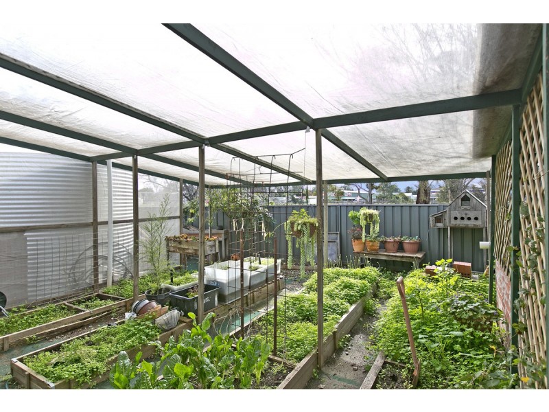 6 The Crescent, Nuriootpa SA 5355