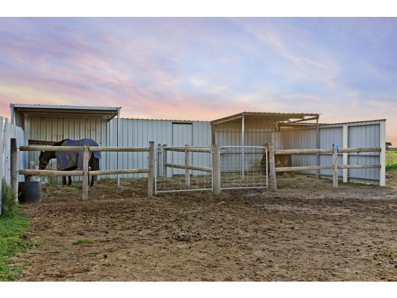 58 Ruskin Road, Dublin SA 5501