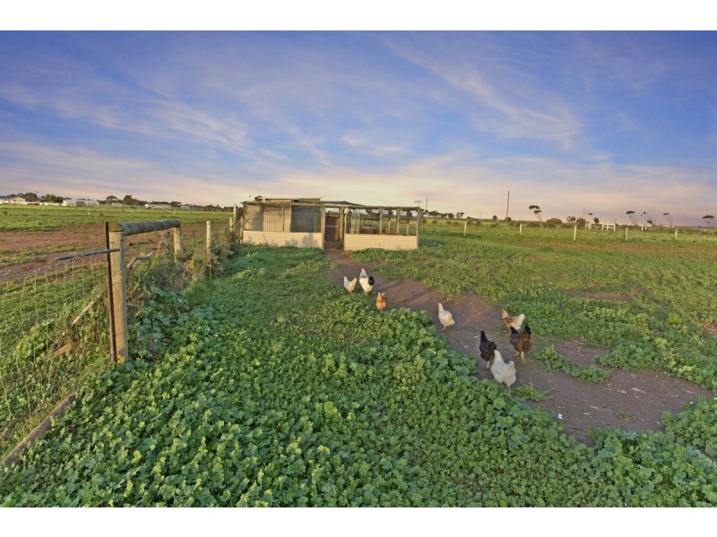 58 Ruskin Road, Dublin SA 5501