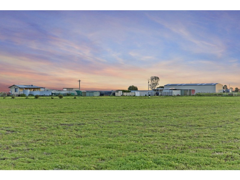 58 Ruskin Road, Dublin SA 5501