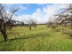 LOT 9 Hillier Road, Hillier SA 5116
