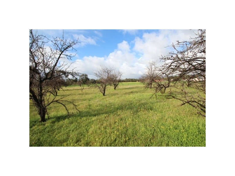 LOT 9 Hillier Road, Hillier SA 5116