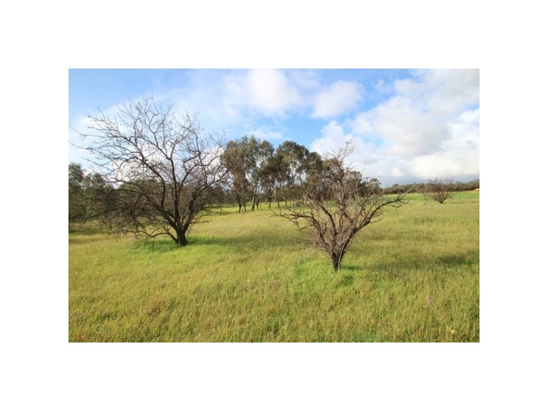 LOT 9 Hillier Road, Hillier SA 5116