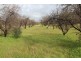 LOT 9 Hillier Road, Hillier SA 5116