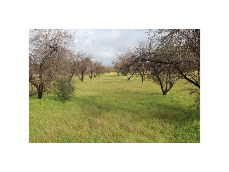 LOT 9 Hillier Road, Hillier SA 5116