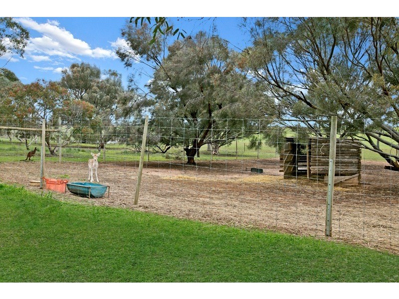 45 Fairlie Road, Gawler Belt SA 5118