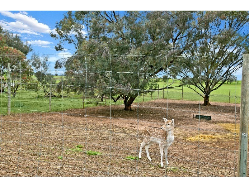 45 Fairlie Road, Gawler Belt SA 5118