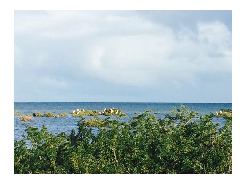 12 Ruskin Road, Thompson Beach SA 5501