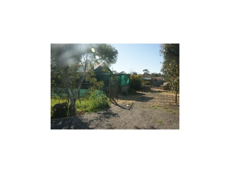 5 Day Street, Kapunda SA 5373