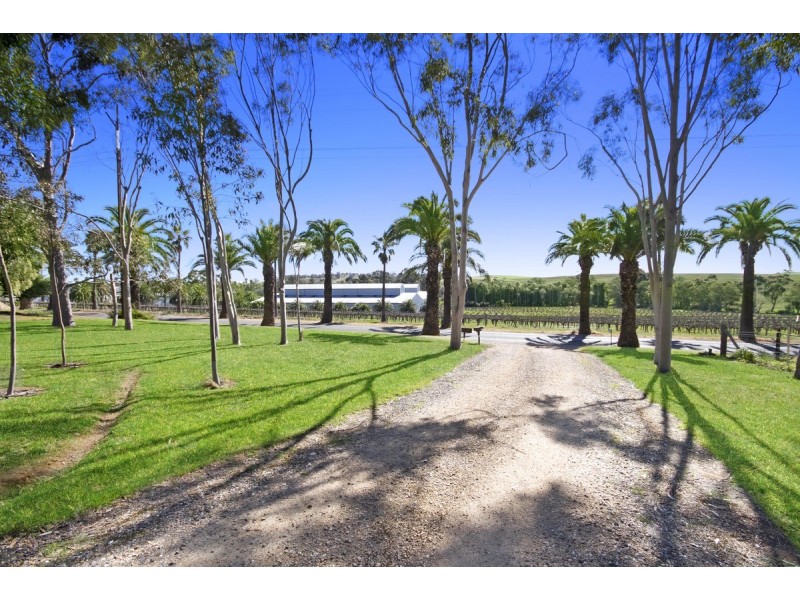 685 Seppeltsfield Road, Seppeltsfield SA 5355