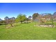 685 Seppeltsfield Road, Seppeltsfield SA 5355